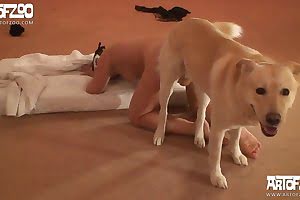 dog porn,animal fucking